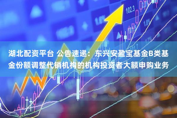 湖北配资平台 公告速递：东兴安盈宝基金B类基金份额调整代销机构的机构投资者大额申购业务