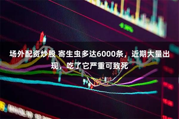 场外配资炒股 寄生虫多达6000条，近期大量出现，吃了它严重可致死